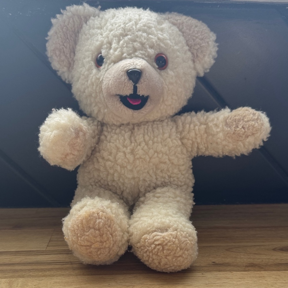 Snuggle Plush Bear